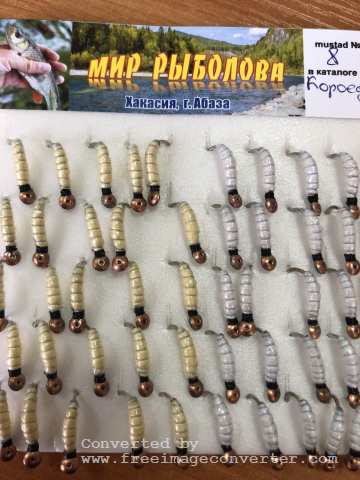 Короед № 14 Короед № 14