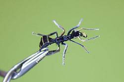 Мушка универсальная Формика, кр. Hayabusa №14 Мушка универсальная Формика, кр. Hayabusa №14