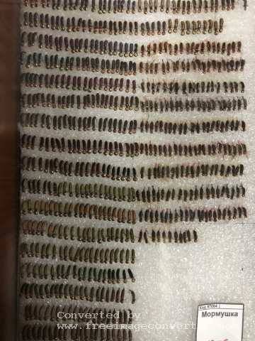 Мормушка Мормушка