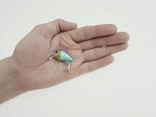 Воблер HARD BAITS PRO SERIES мини-кренкбейт 2,85 см, 1,95 г, цв.F кр. № 10 Воблер HARD BAITS PRO SERIES мини-кренкбейт 2,85 см, 1,95 г, цв.F кр. № 10