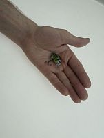 Воблер HARD BAITS PRO SERIES мини-кренкбейт 2,85 см, 1,95 г, цв.D кр. № 10