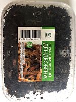 Червь Дендробена 25гр в пластике Червь Дендробена 25гр в пластике