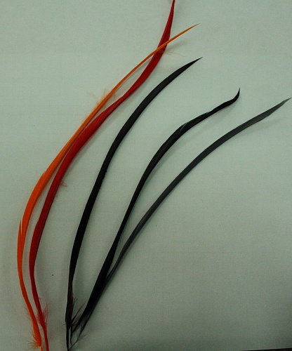 Биоты пера гуся Биоты пера гуся