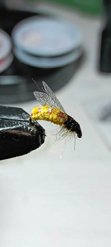 Мушка Оса,кр.10 Мушка Оса,кр.10