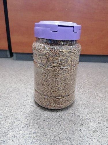 Пшеница для запаривания, банка 2л Пшеница для запаривания, банка 2л