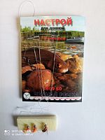 Настрой ЧР для донной хариусовой ловли 3 поводка+3 мушки Настрой ЧР для донной хариусовой ловли 3 поводка+3 мушки