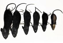 Мышь шумовая мягкая № 2, 15 г/80 мм