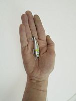 Воблер AOCLU Джеркбейт 50 мм 4,0 г цв.I