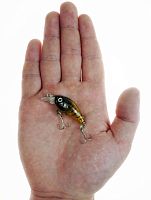 Воблер PROBEROS Мини-кренкбейт 4,5см, 3,5гр, цв.F кр. №10 Воблер PROBEROS Мини-кренкбейт 4,5см, 3,5гр, цв.F кр. №10