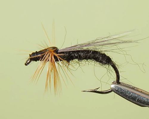 Мушка сухая Ручейник, кр. Mustad №12 Мушка сухая Ручейник, кр. Mustad №12